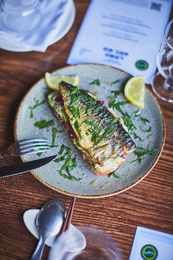 씨푸드프롬노르웨이, 노르웨이 고등어 팝업 개최 seafood from norway mackerel pop up