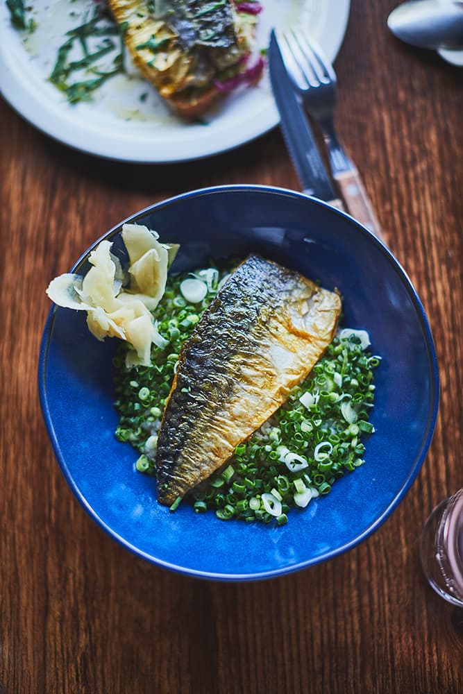 씨푸드프롬노르웨이, 노르웨이 고등어 팝업 개최 seafood from norway mackerel pop up