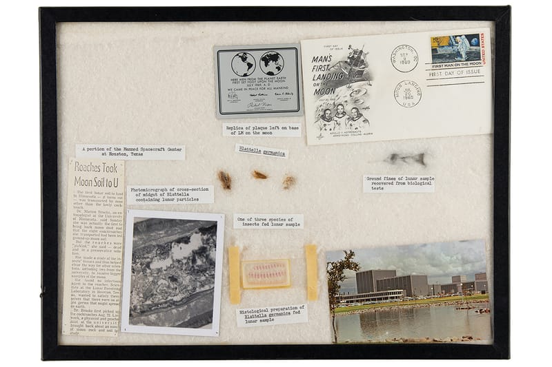 예상 경매가 5억 원, 바퀴벌레 배에서 나온 아폴로 11호 달 먼지의 정체는?