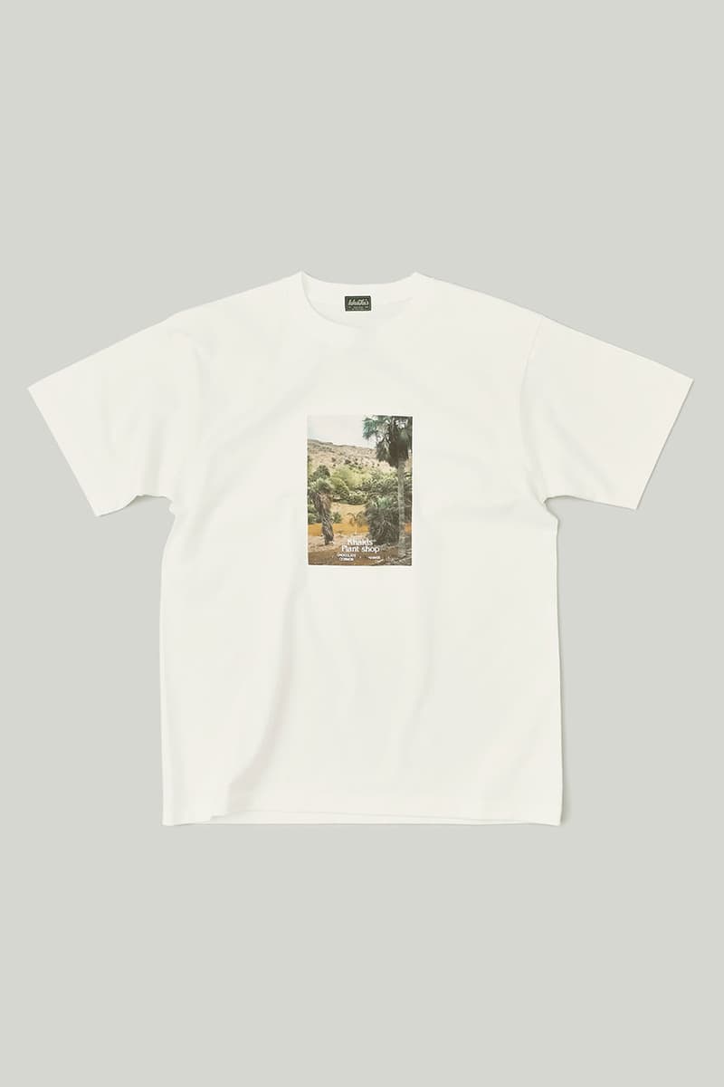 카키스 x 초콜릿 코스모스 협업 홈 가드닝 컬렉션 출시, 식물, 아데니아 글라우카, 황칠나무, 송오브인디아