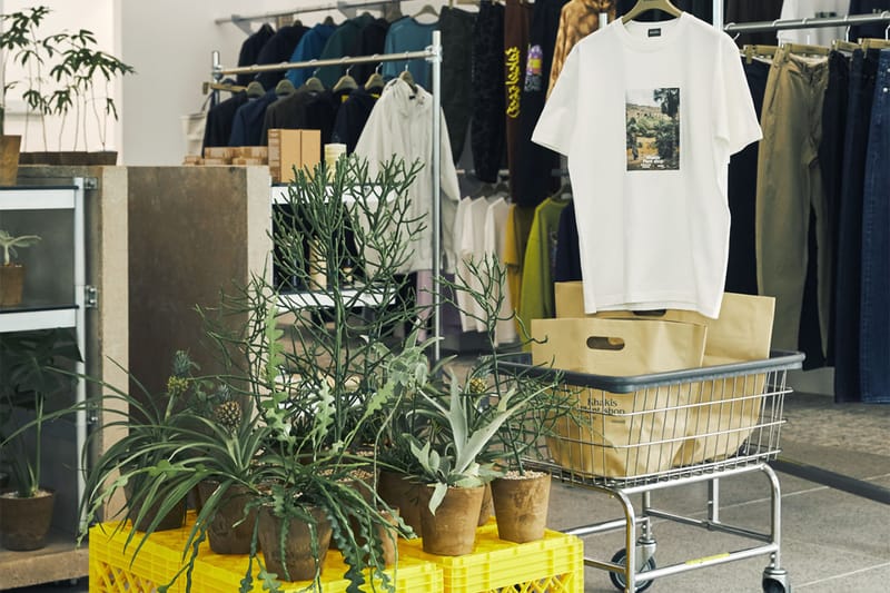 카키스 x 초콜릿 코스모스, 협업 홈 가드닝 컬렉션 출시