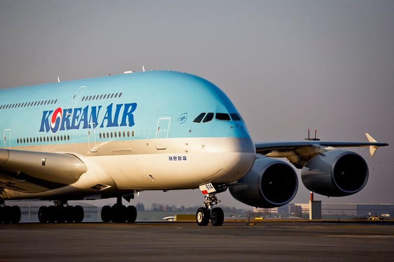 유럽 최대 저가항공사 CEO, "비행기 요금 앞으로 5년간 계속 오른다"