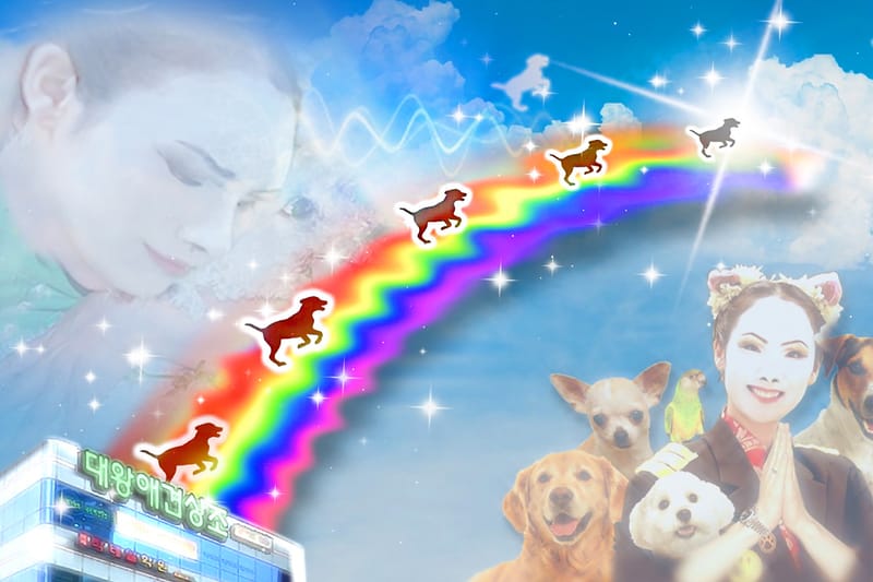 에르메스, 재단 미술상 수상자 류성실 개인전 '불타는 사랑의 노래' 개최