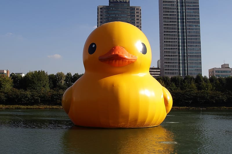 8년 만에 한국 돌아오는 러버덕, 위치는 어디?