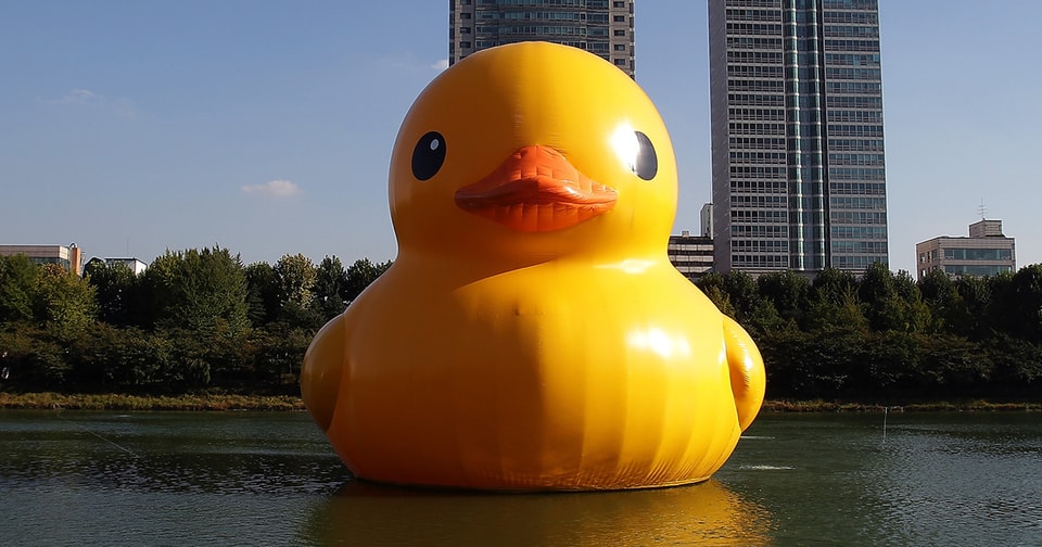 8년 만에 한국 돌아오는 러버덕, 위치는 어디?