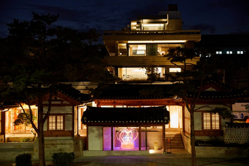 창조와 영감의 가치를 전하는, 설화수 '흙.눈.꽃 - 설화, 다시 피어나다' 전시