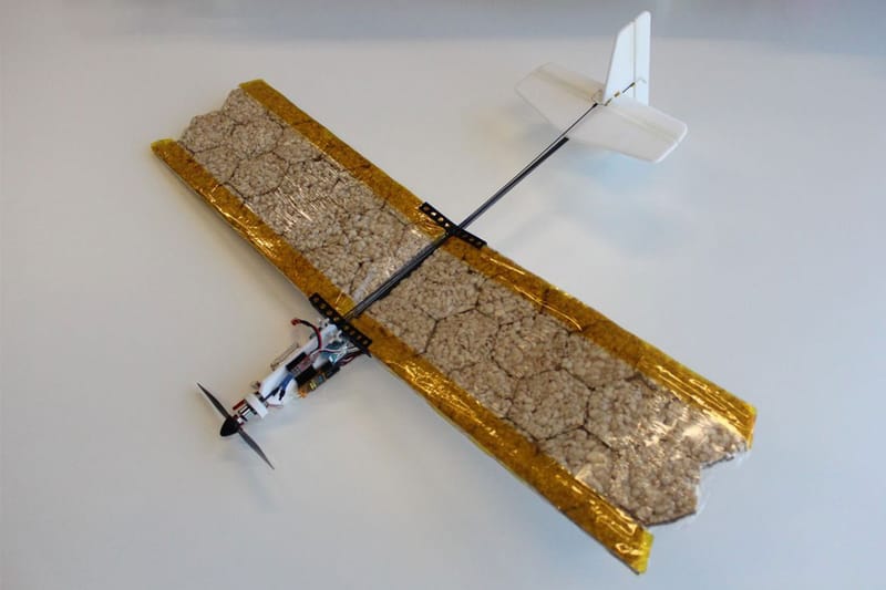 날개를 먹을 수 있는 '식용 드론'이 개발됐다