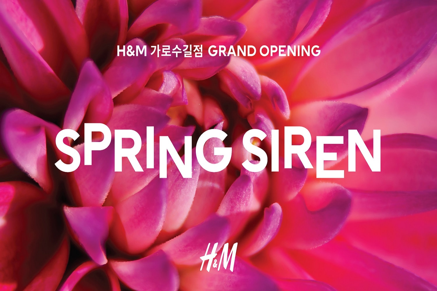 H&M 가로수길점 리뉴얼 오픈 및 이벤트 소식 garosugil renewal event spring siren