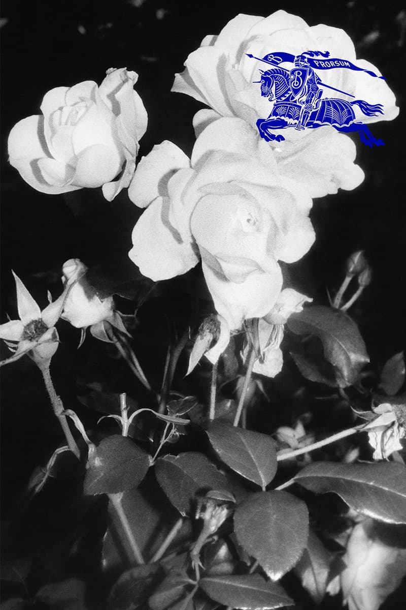다니엘 리의 첫 버버리 캠페인, 두 번째 화보와 패션 필름이 공개됐다, 버버리, 손흥민, 전지현, 타이론 레본, 존 글래셔, 버버리 프로섬, 다니엘 리, 버버리 크리에이티브 캠페인