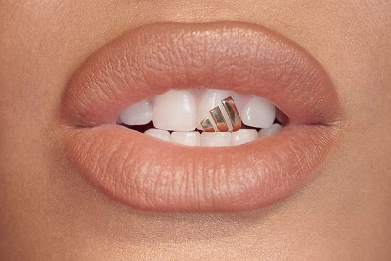 아디다스, 비욘세의 아이비 파크와 계약 종료한다?