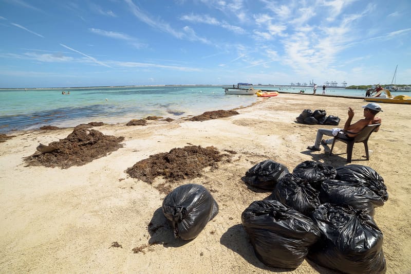 ‘포브스’가 발표한 질병에 걸리기 가장 쉬운 여행지는?
