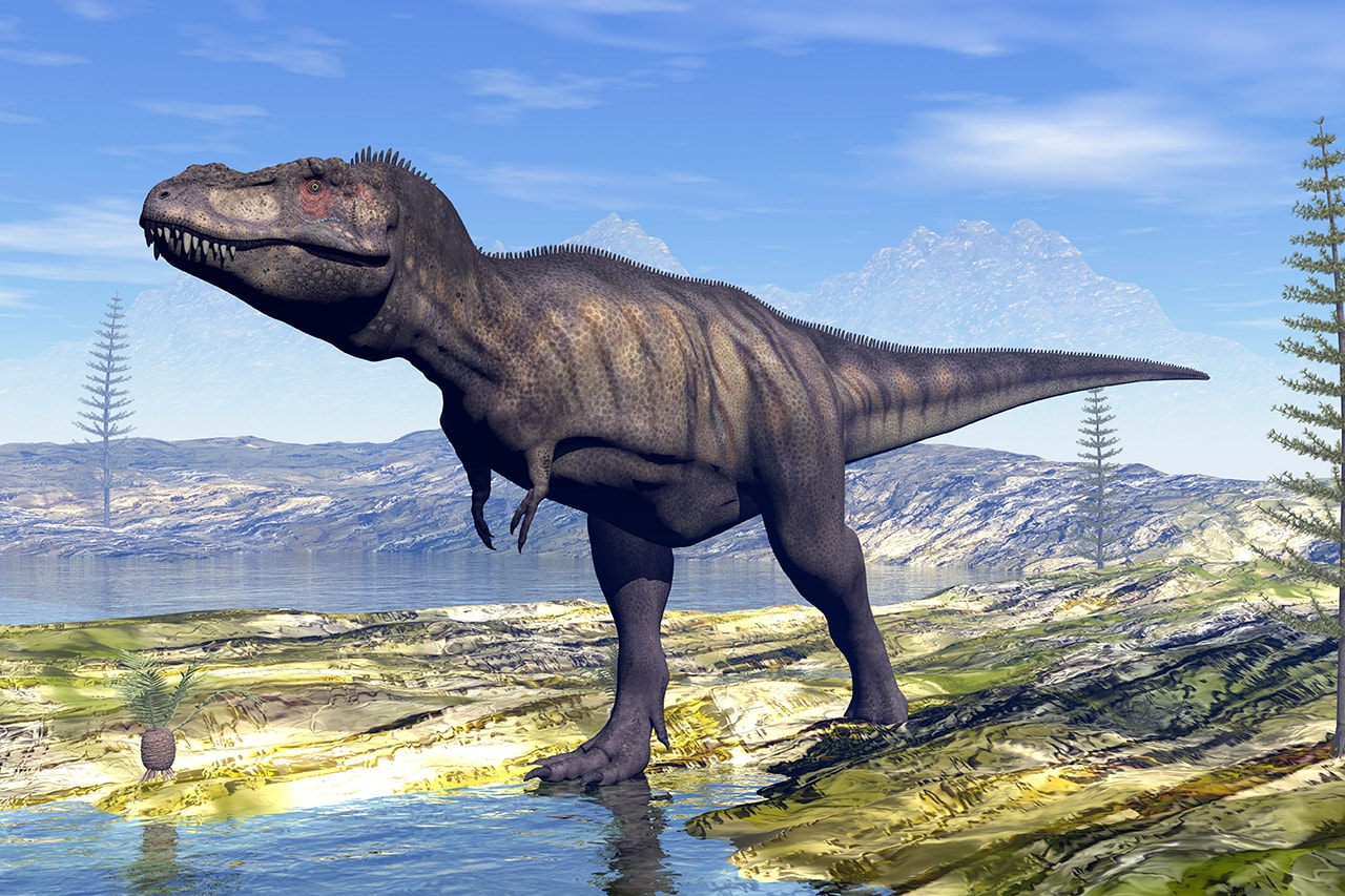 지구상 존재했던 티라노사우루스의 개체 수는 무려 17억 마리, 티렉스, 공룡, 킹룡, 육식 공룡, 백악기