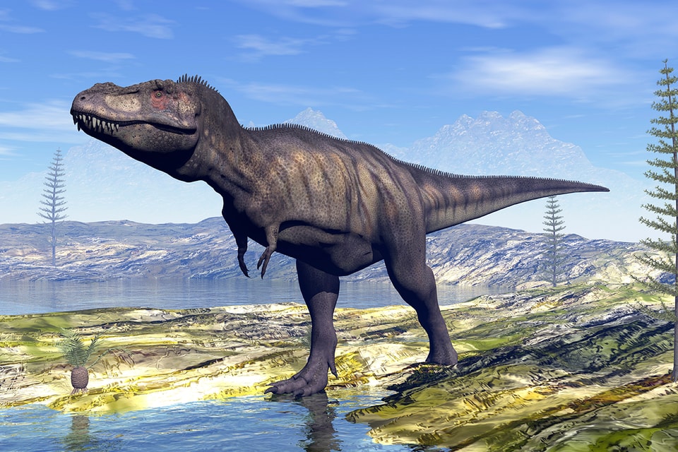 지구상 존재했던 티라노사우루스의 개체 수는? | Hypebeast.KR | 하입비스트