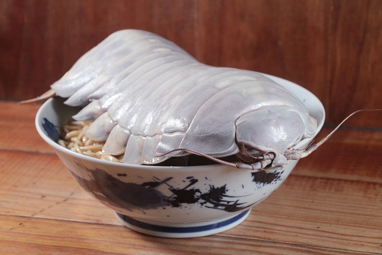 심해에 사는 등각류를 활용한 라멘이 출시됐다