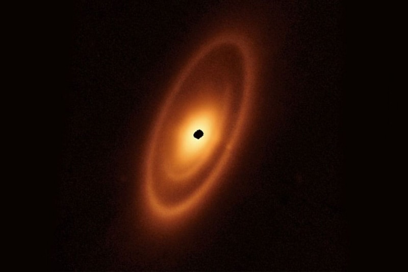 태양계 밖의 소행성 지대가 발견됐다, NASA, 스타