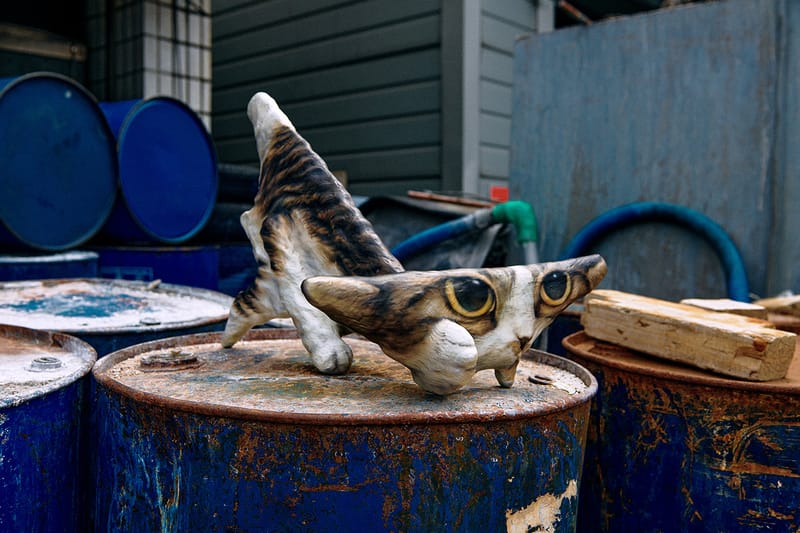 HOW TO: 현실 세계로 고양이 밈을 끌어오는 작가 뿌리의 작업법