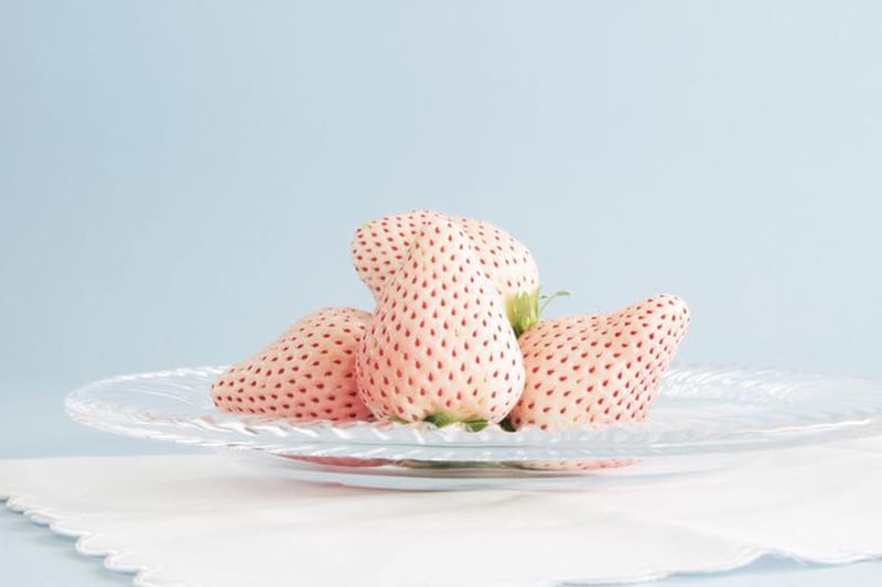 세상에서 가장 비싼 과일은?