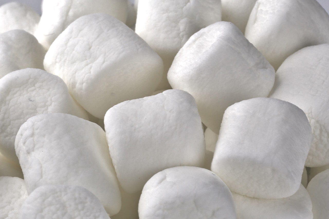 세상에서 가장 큰 마시멜로가 탄생했다, 기네스 세계기록, 과자, 마쉬멜로우
