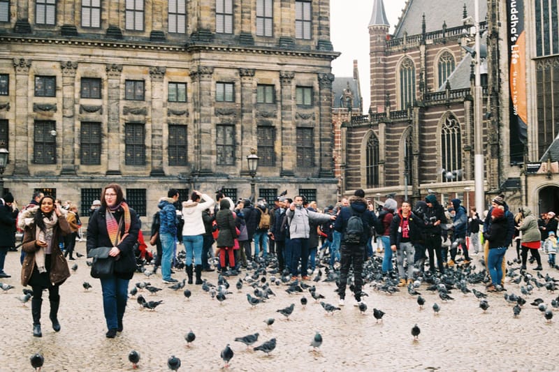 브랜드 디렉터, 포토그래퍼, 댄서 등이 추천하는 목적별 해외 여행지 8