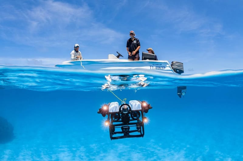 국제학술지 BMC 사진 공모전 수상작 살펴보기