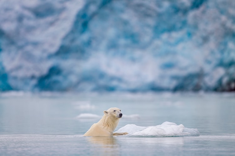 바람의 변화로 북극의 해빙이 더 빨리 녹을 수도 있다?