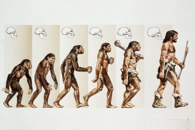 인류의 기원이 유럽일 가능성이 제기됐다