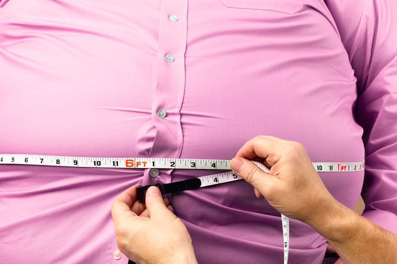 국내 연구진이 영양분을 섭취해도 살이 찌지 않게 하는 신약을 개발했다