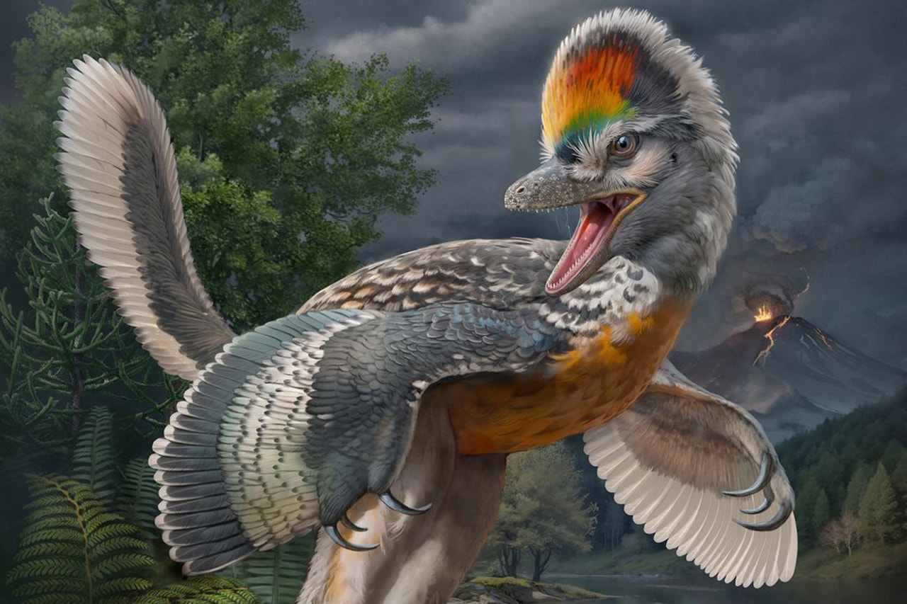 조류목에 속하는 신종 공룡이 발견됐다, 조류, 연구 결과, 네이처, Fujianvenator prodigiosus, Archaeopteryx, 푸젠