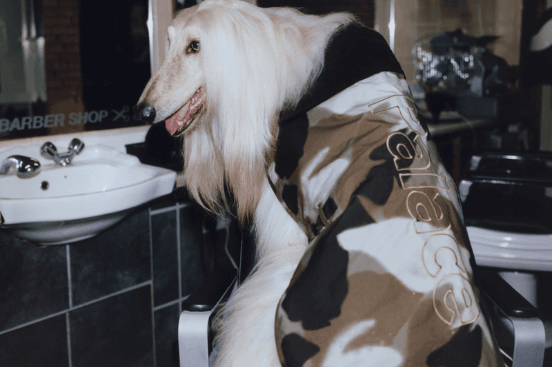 바버 협업 포함, 팔라스 2023 겨울 다섯 번째 드롭 리스트, 재킷, 팰리스, 스케이트보드, 슈프림