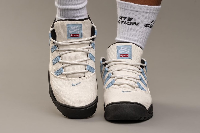 슈프림 x 나이키 SB 에어 다윈 로우 이미지 공개, supreme, nike sb, 역스우시, dennis rodman, 데니스 로드맨