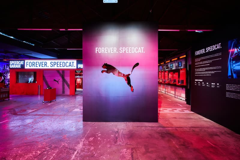 푸마 스피드캣의 화려한 귀환, ‘FOREVER. SPEEDCAT.’ 팝업 스토어 오픈 puma speedcat 성수동