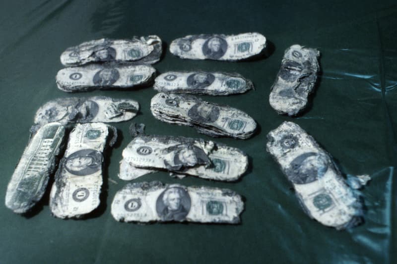 노스웨스트 항공 305편 공중 납치 사건의 용의자에 대한 결정적인 단서가 발견됐다, northwest airlines, db cooper,