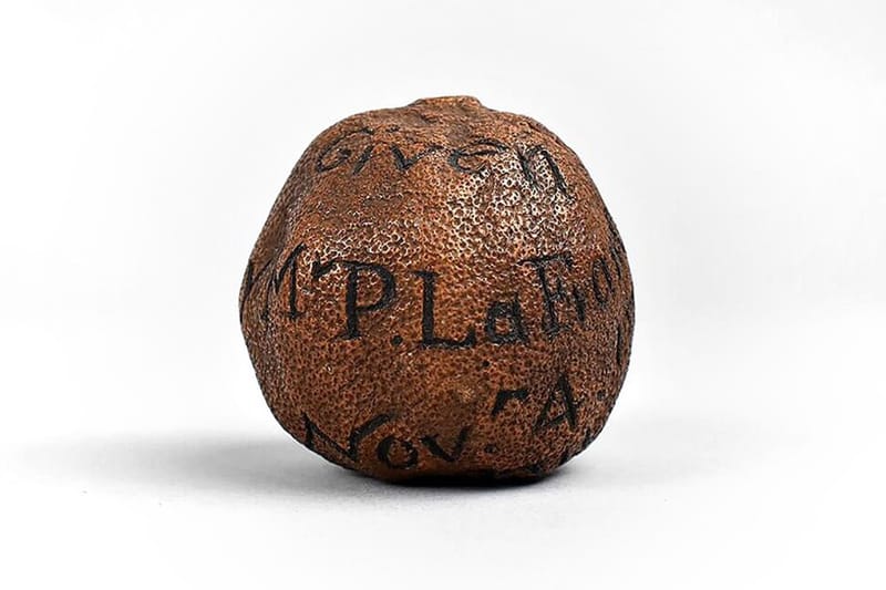 약 3백년 된 레몬이 경매에 나왔다