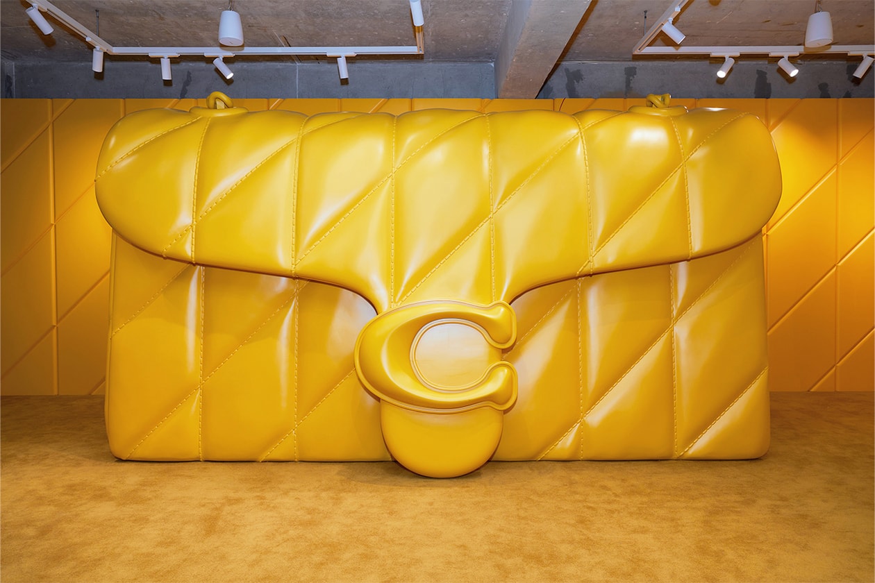 Invite Only: 지올팍이 직접 소개하는 ‘코치 성수 팝업’, 이영지, 권은비, 레드벨벳 예리, 나나영롱킴, 지오르 팍, 성수 팝업, 주말 나들이