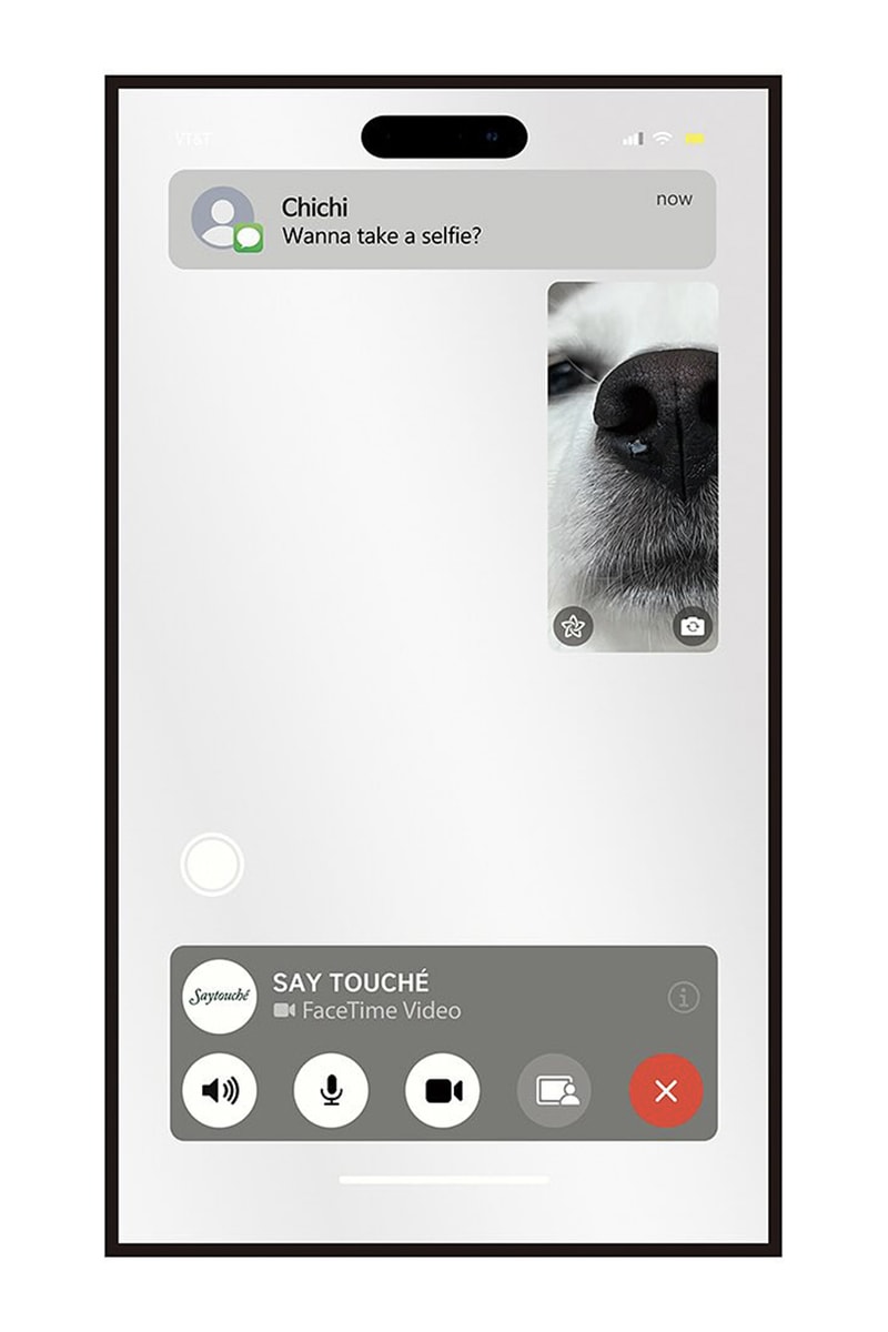 세이투셰, 반려동물로 커스텀 가능한 페이스타임 미러 출시, 가구, 전신거울