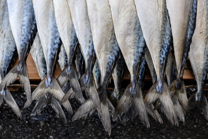 한국인이 가장 좋아하는 수산물은?