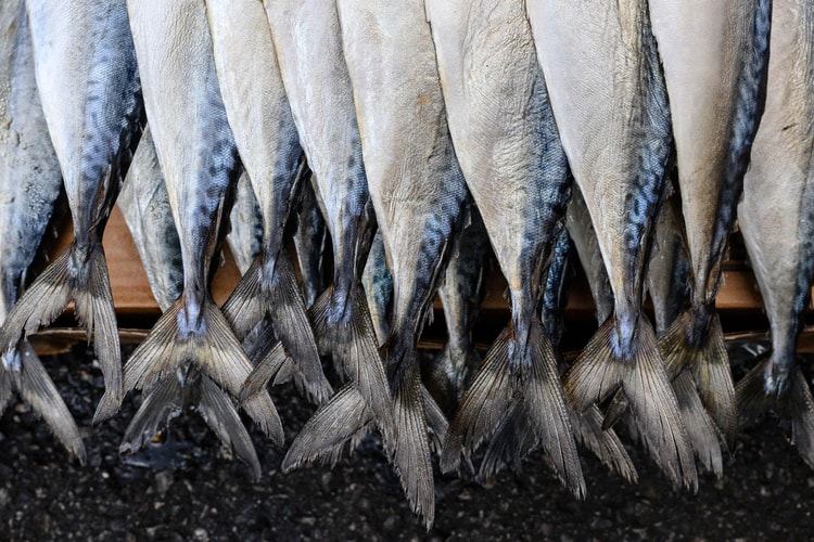 한국인이 가장 좋아하는 수산물은?