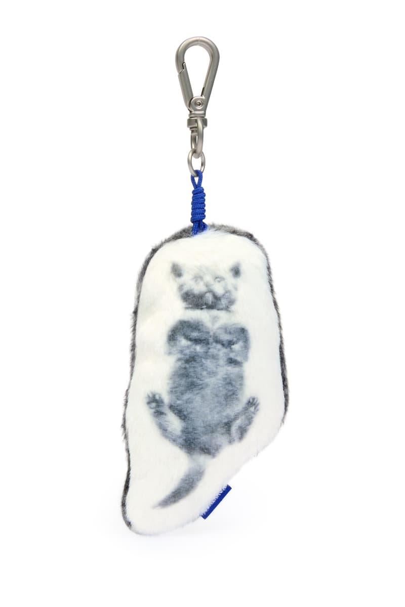 아더에러, 최초, 펫, 캡슐, 강아지, 고양이, 반려, 동물, 패션, 컬렉션, Purr, fect, Couture, 출시