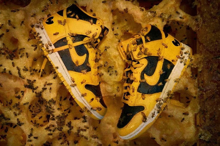 우탱 덩크에 대해 반드시 알아야 할 여섯 가지