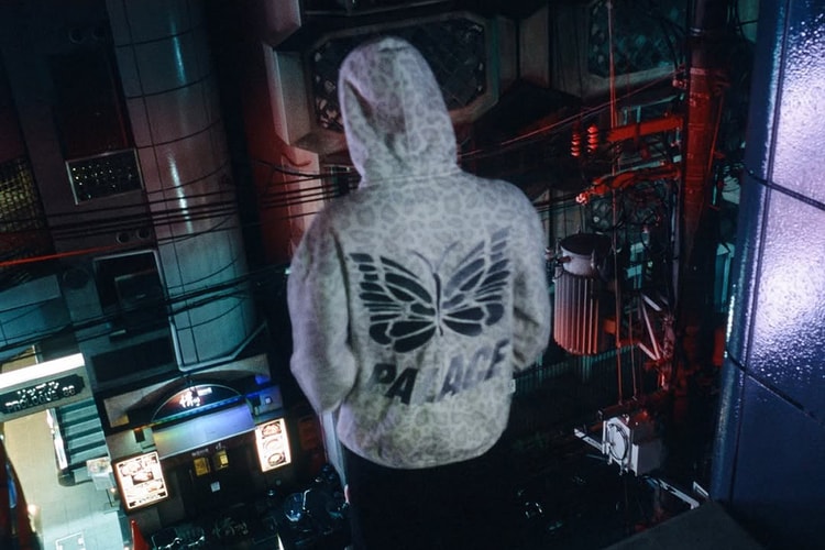 팔라스와 니들스가 협업한다