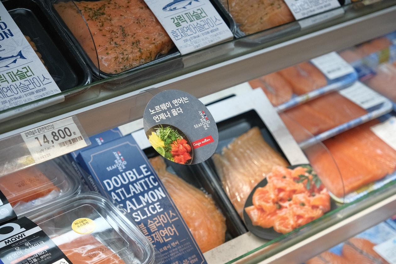 엘링 홀란의 선택, ‘노르웨이 연어’가 언제나 옳은 이유 씨푸드프롬노르웨이 Seafood from norway erling haaland salmon