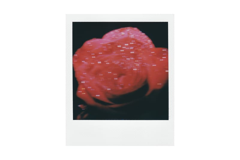 콤팩트 레코드 바, 사진작가 간재훈 개인전 ‘VELVET’ 개최