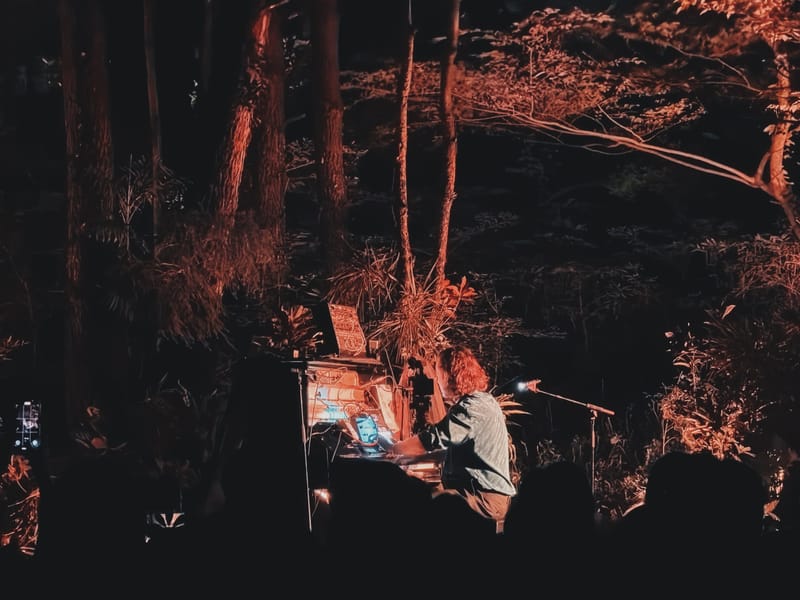 존 캐롤 커비 제주 내한 공연: 숲과 별빛, 피아노 선율이 머물던 밤