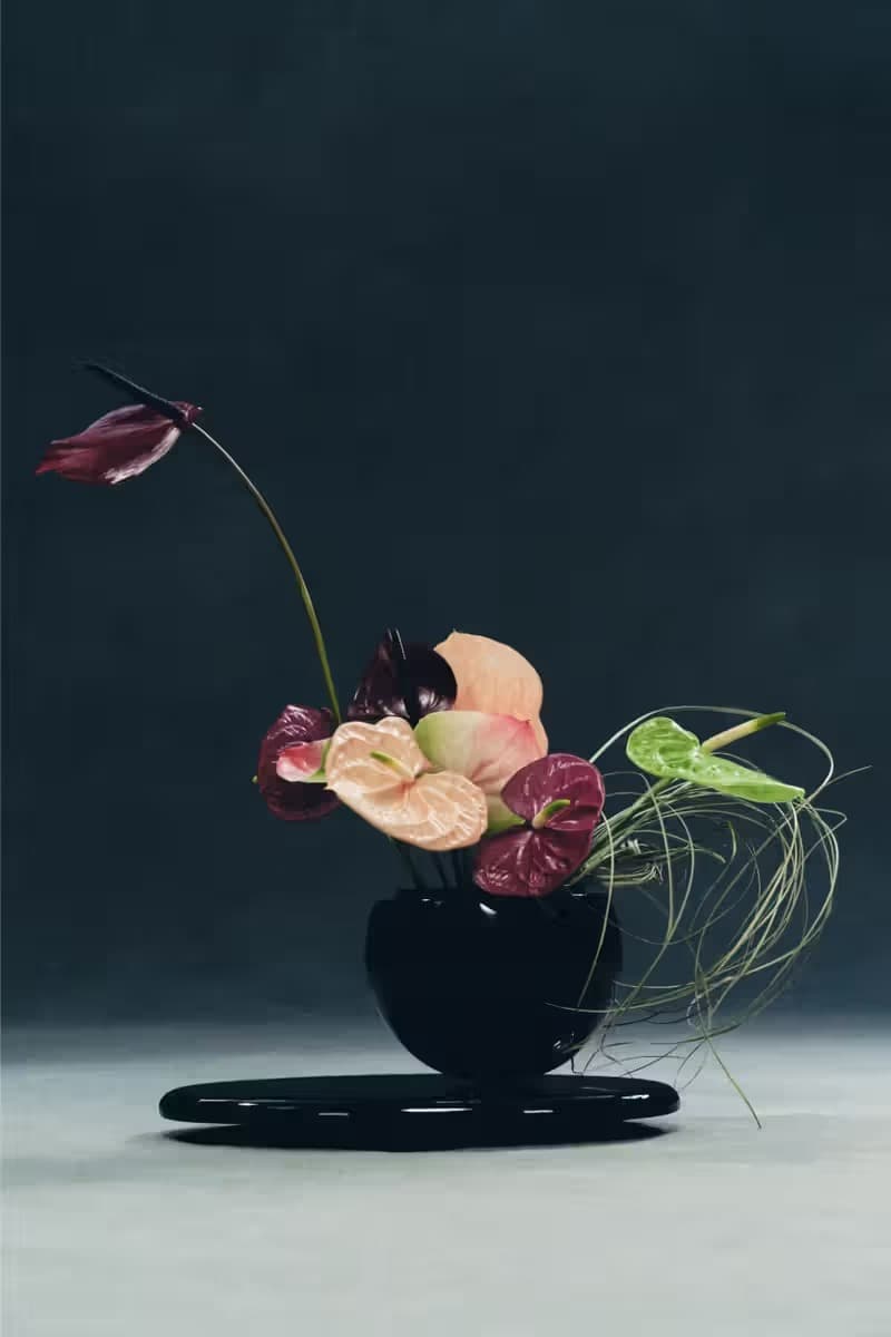 소시오츠키 x 자라 컬렉션 공개