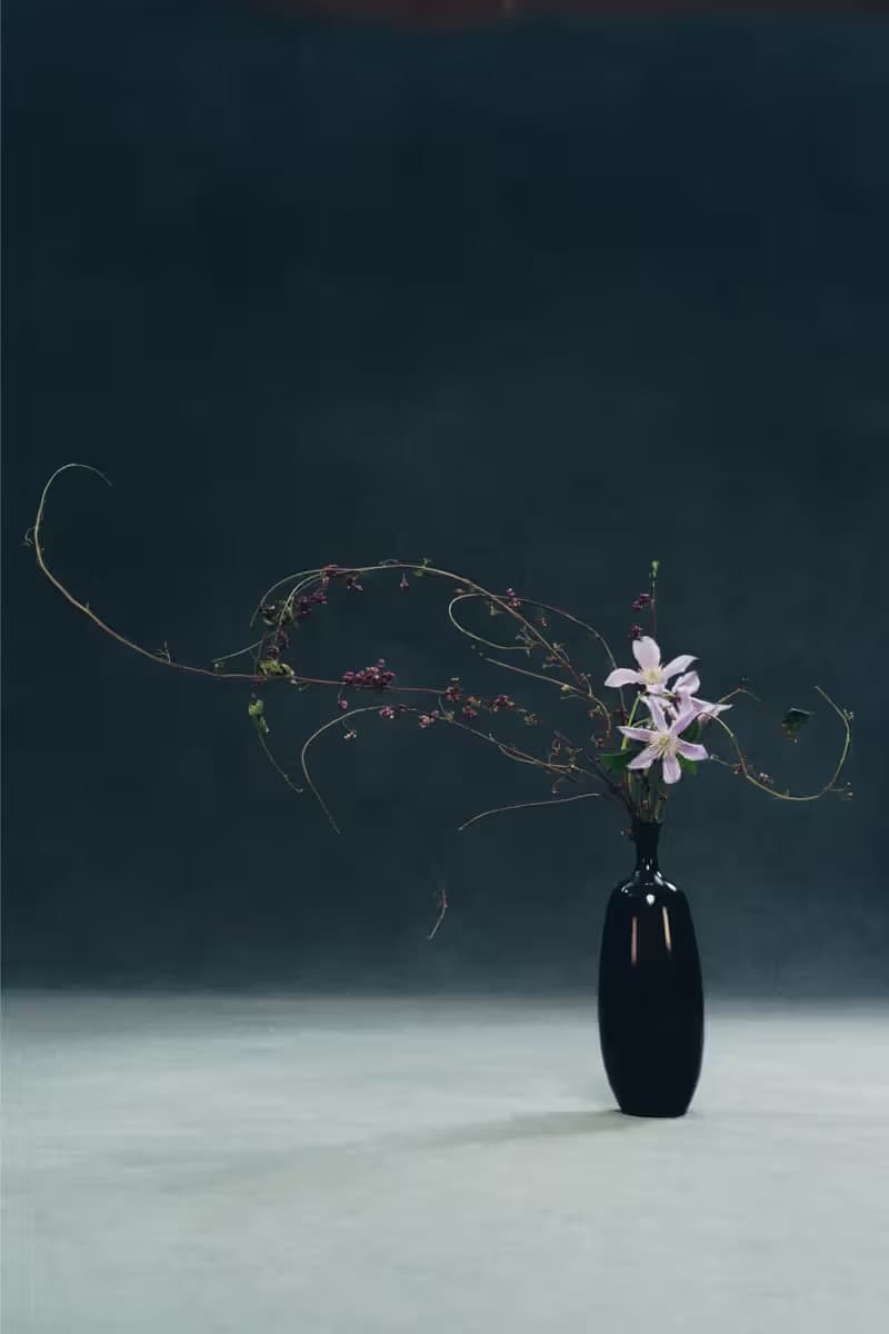 소시오츠키 x 자라 컬렉션 공개