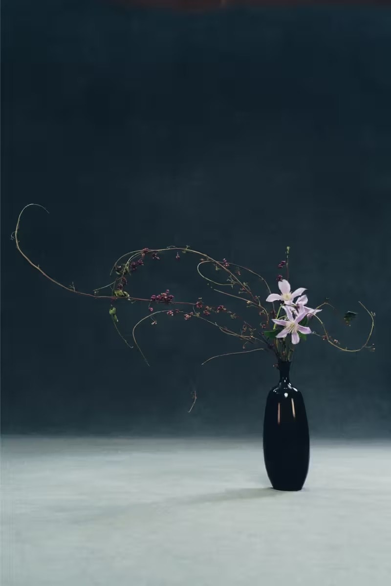 소시오츠키 x 자라 컬렉션 공개
