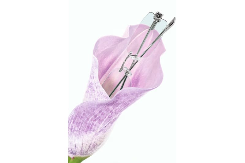 젠틀몬스터 FKA 트위그스와 함께한 2026 부케 컬렉션 공개