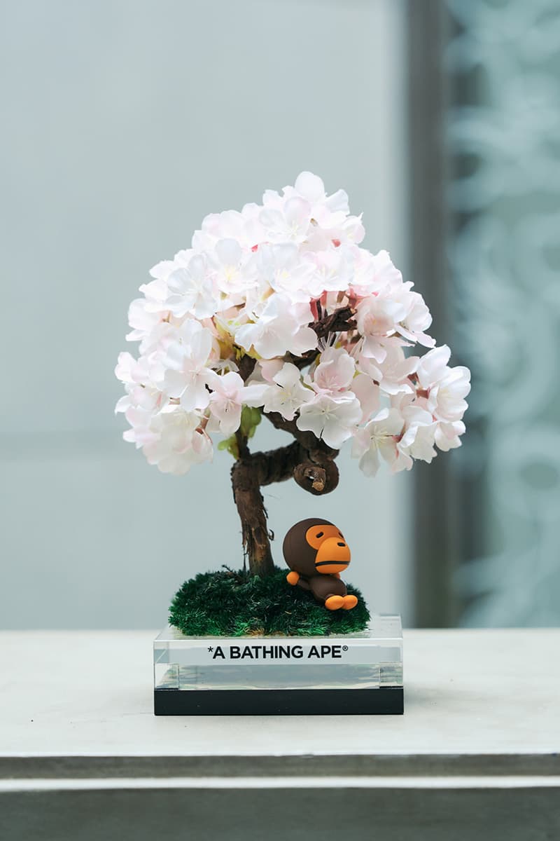 베이프 ‘베이비 마일로 사쿠라 분재’ 한정판 에디션 출시