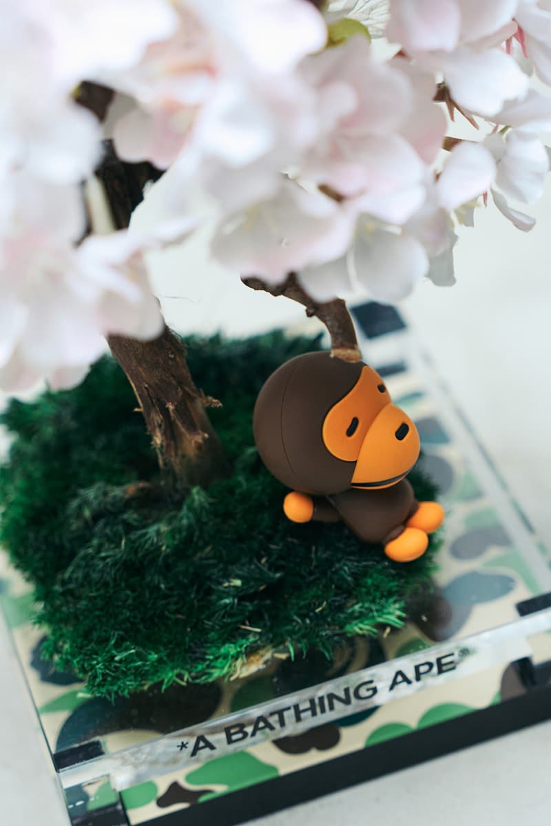 베이프 ‘베이비 마일로 사쿠라 분재’ 한정판 에디션 출시