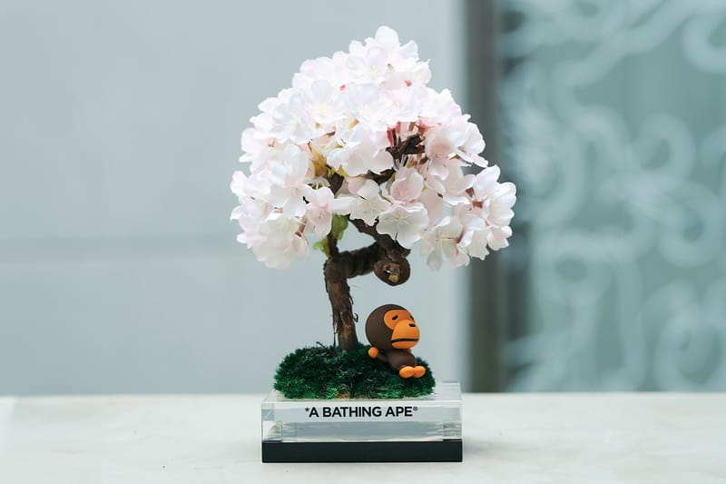 베이프 ‘베이비 마일로 사쿠라 분재’ 한정판 에디션 출시